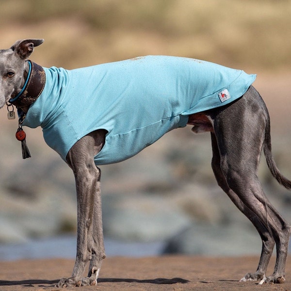 Whippet Tee Shirts - Pastel colours