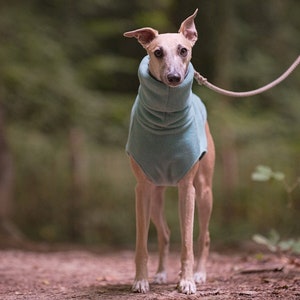 Whippet fleece jumper Light colours image 6