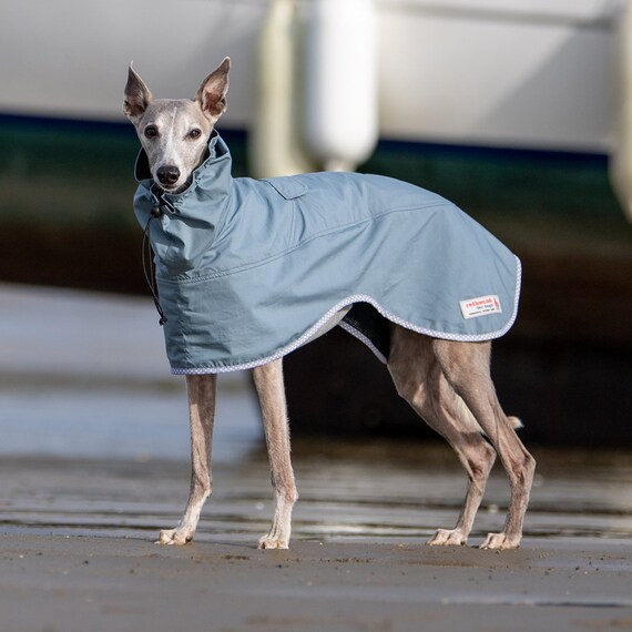 Back on best sale track whippet coat
