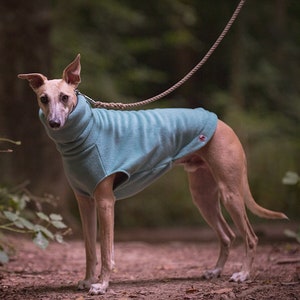 Whippet fleece jumper Light colours Duck Egg