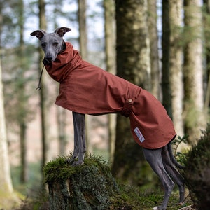 Whippet Raincoat with hood Cardiff style Dark Brick