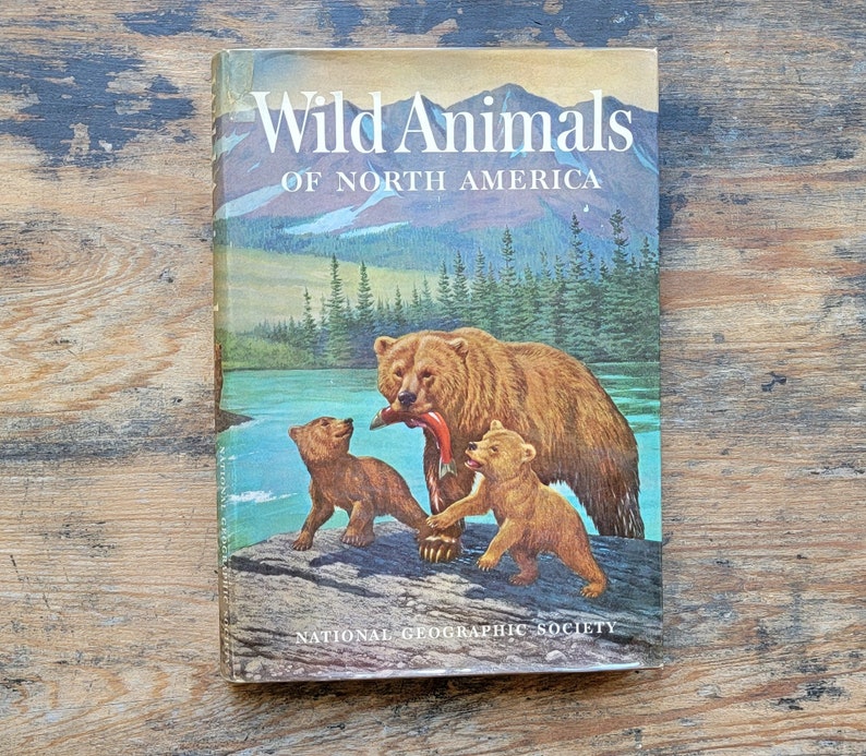 Wild Animals of North America National Geographic Scholastic - Etsy