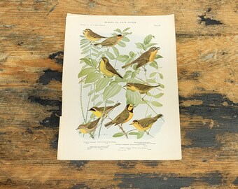 Poppy liked to leave them in her dust Limited edition print by Vivienne Strauss. Poppy liked to leave them in her dust Limited edition print by Vivienne Strauss.