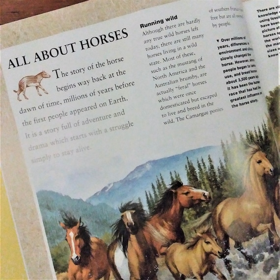Horse Breeds and Breeding by Jane Kidd 9780517676912| eBay