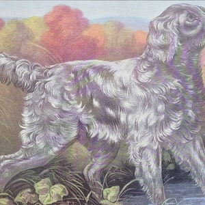 Well Bred Setter ~ Currier & Ives Lithograph Reproduction Print, Game Bird Hunting Scene with Dog