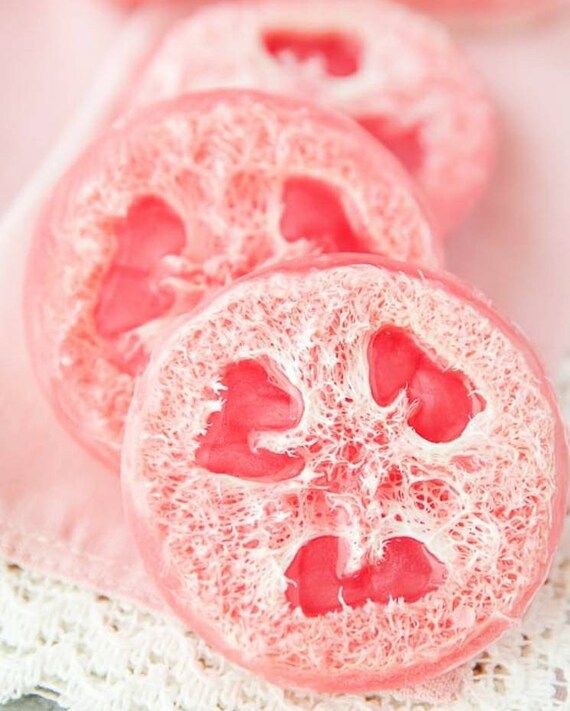 Luffa aegyptiaca Loofah seeds sponge dishcloth Eat like Okra Showy arch