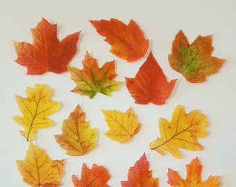 Edible Fall Leaves