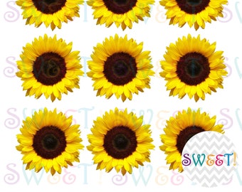 Edible Sunflower Cake, Cupcake, Cookie, Oreo or Drink Toppers - Wafer Paper or Frosting Sheet