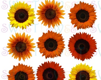 Edible Fall Sunflowers - Single Sided