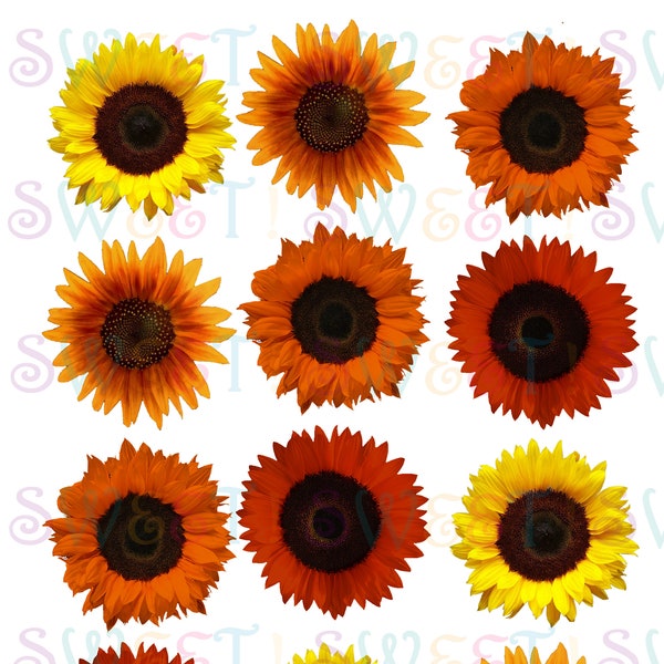 Edible Fall Sunflower Cake, Cupcake, Cookie, Oreo or Drink Toppers - Wafer Paper or Frosting Sheet