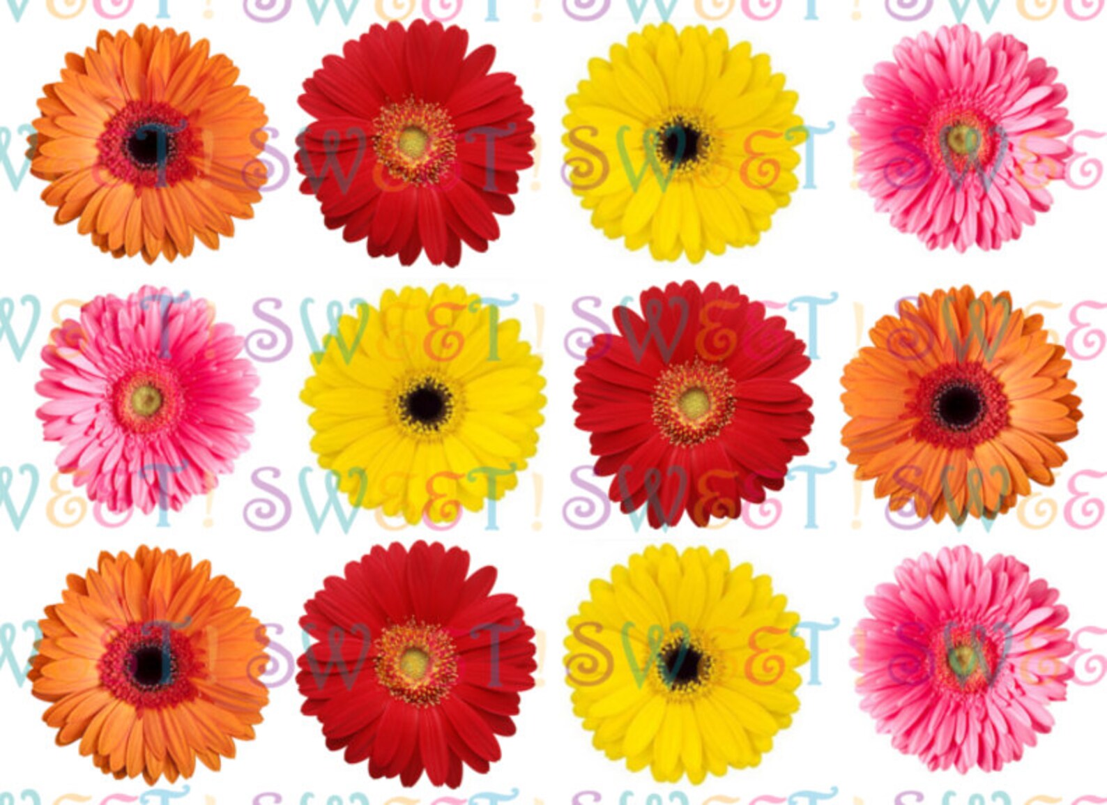 Edible Gerbera Daisy Cake Cupcake & Cookie Toppers Wafer Etsy