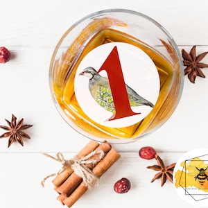Edible Twelve Days of Christmas Drink Topper