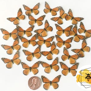 Edible Butterflies for Cakes & Cupcakes, Mini Monarch