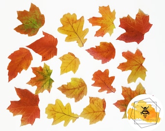 Edible Fall Leaves