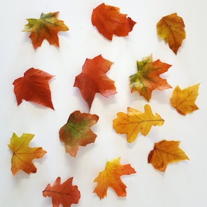 Edible Fall Leaves Double Sided image 6