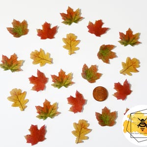 Edible Mini Fall Leaves