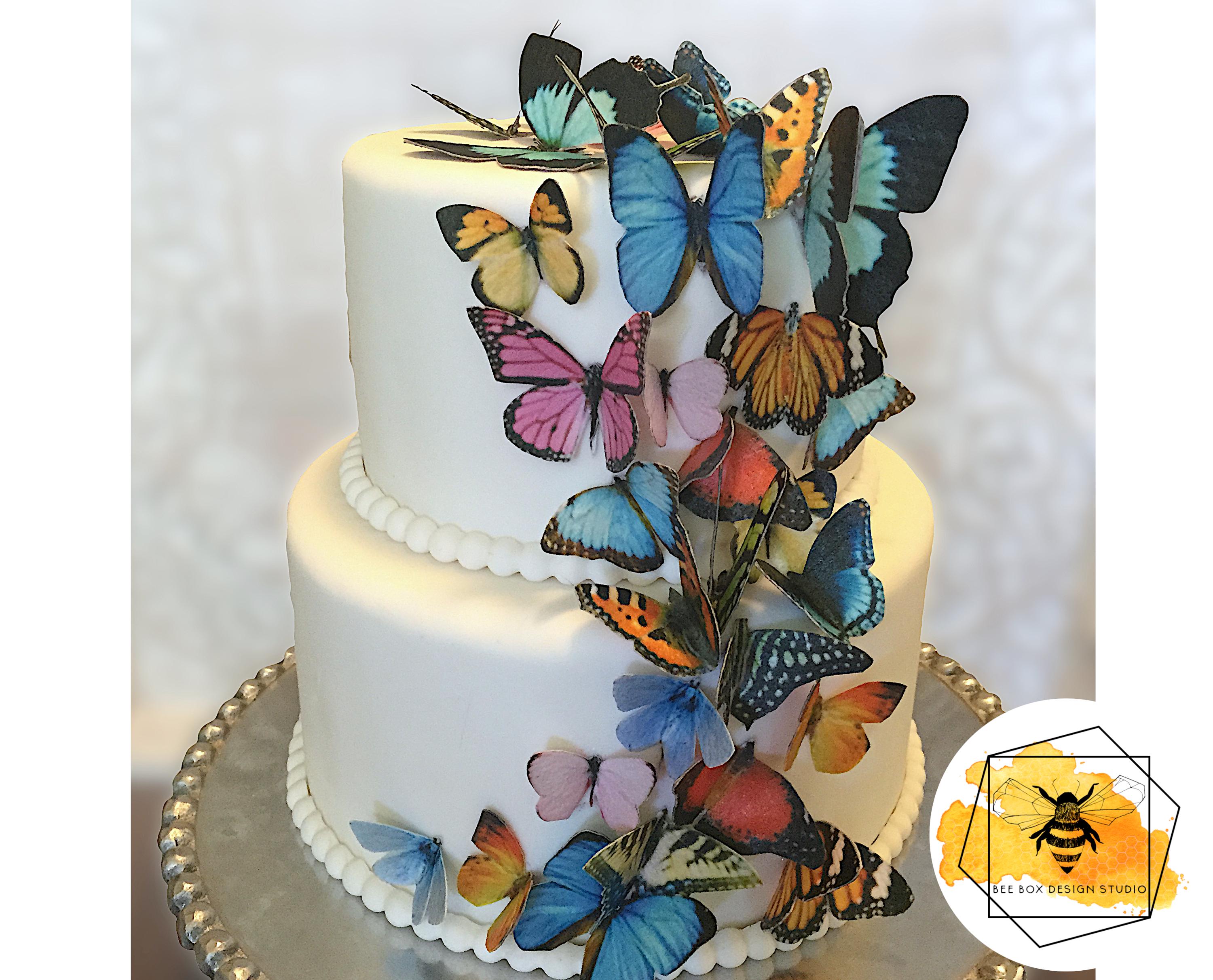 PME - Tagliapasta per Cake Design - Farfalla Confezione da 2