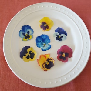 Edible Pansy Cake, Cupcake & Cookie Toppers Wafer Paper or Frosting Sheet image 1