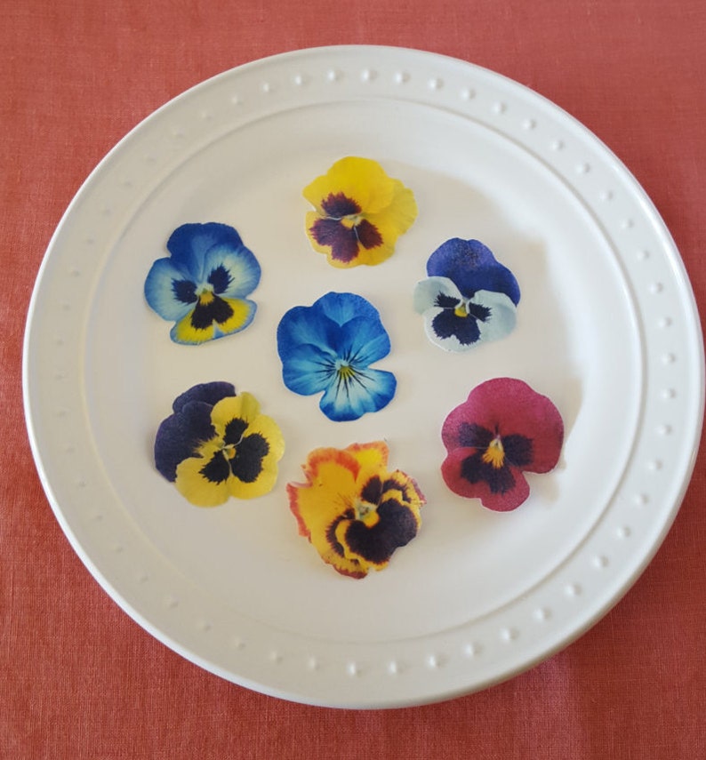 Edible Pansy Cake, Cupcake & Cookie Toppers Wafer Paper or Frosting Sheet image 1