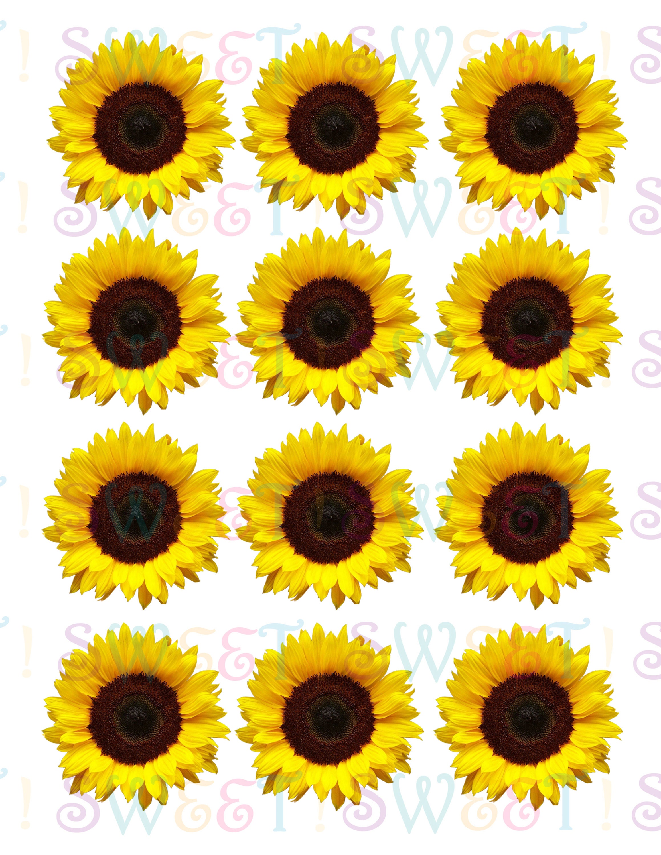 Edible Sunflower Cake Cupcake Cookie Oreo or Drink Toppers Etsy