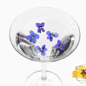 Edible Violets Thick Wafer Paper Drink Toppers