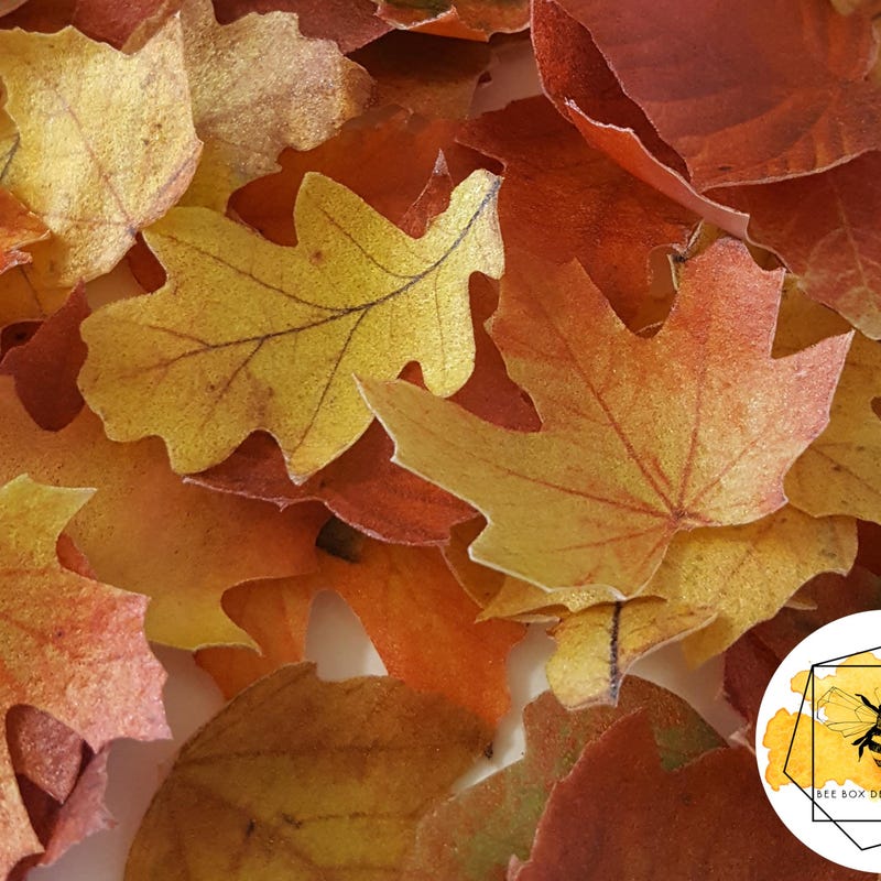 Top 5 Best Fall Cake Decorations Edible (Today's Featured Picks) Of 2026 - View #3
