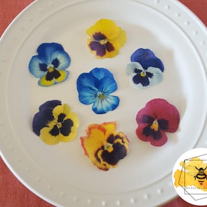 Adornos comestibles de pensamientos para tartas, cupcakes y galletas, oblea o lámina para glaseado