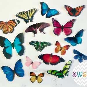 30 Edible Butterflies, 3D Wafer Paper Toppers for Cakes, Cupcakes, Cookies or Drinks image 3