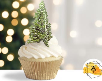 60 Décorations Comestibles Pour Gâteaux De Noël - Père Noël, Sapins, Bonhommes De Neige - Papier De Riz Pour Cupcakes, Biscuits
