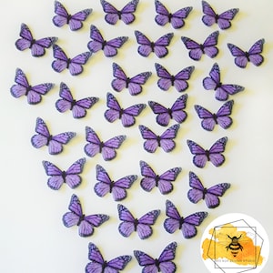 Edible Butterflies for Cakes & Cupcakes, Monarch
