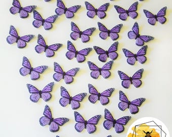 Edible Butterflies for Cakes & Cupcakes, Monarch