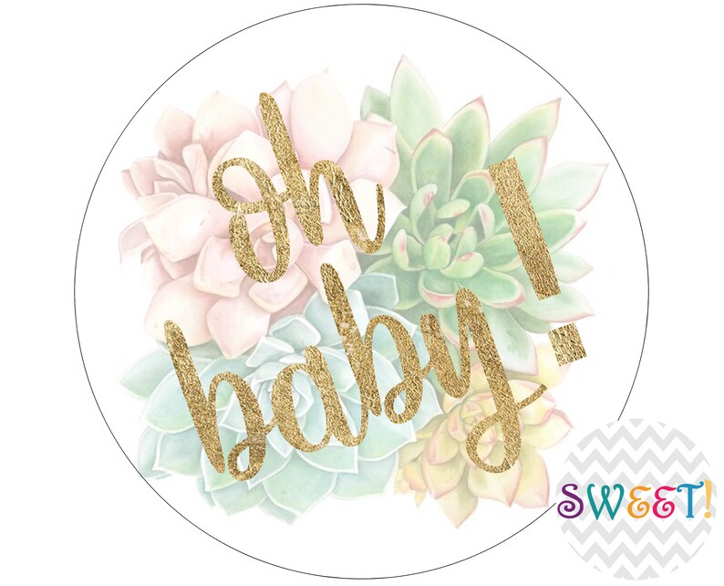 Edible Succulent Oh Baby Baby Shower Cupcake Cookie Oreo Etsy