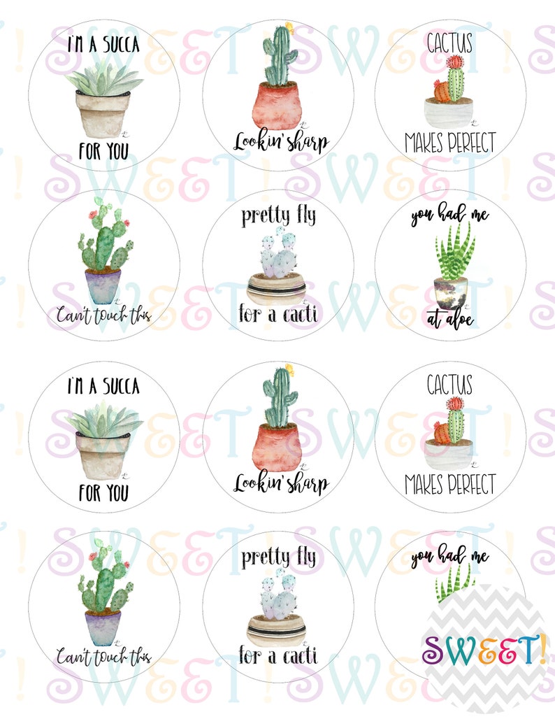Edible Cactus and Succulent Toppers for Cake Cupcake & Cookie Etsy