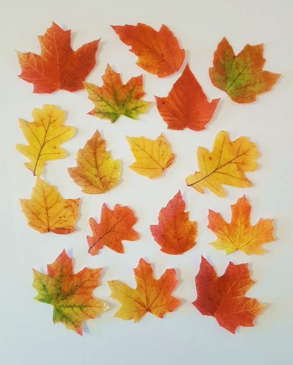 32 Edible Fall Leaves Wafer Paper Toppers For Cakes Etsy
