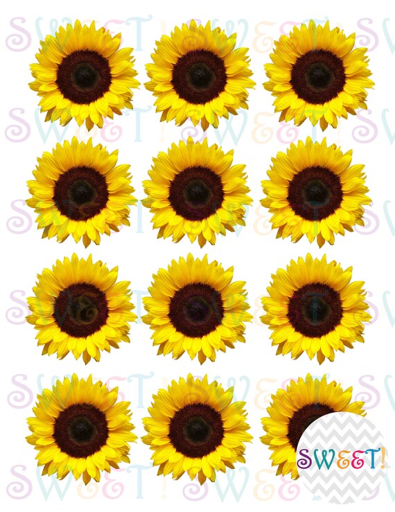 Edible Sunflower Cake Cupcake Cookie Oreo Or Drink Toppers Etsy