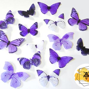 Edible Butterflies for Cakes & Cupcakes, Single Color Variety