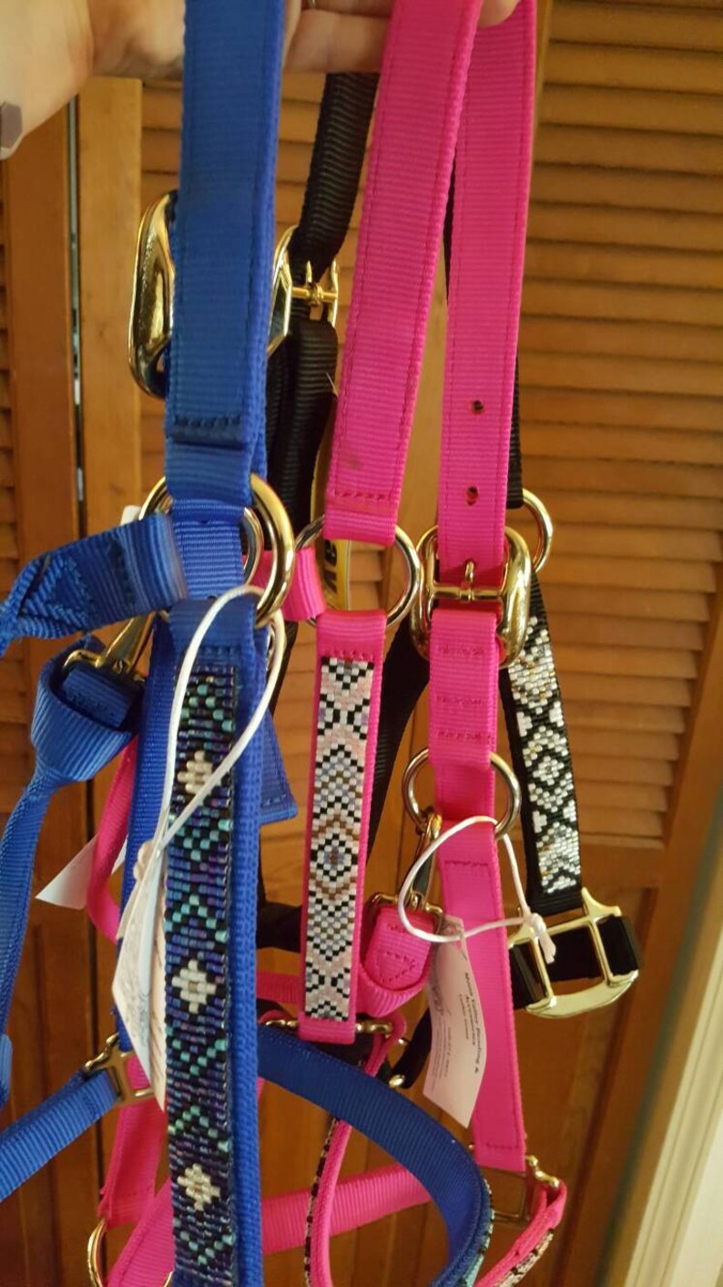 Custom Beaded Horse Halter Etsy