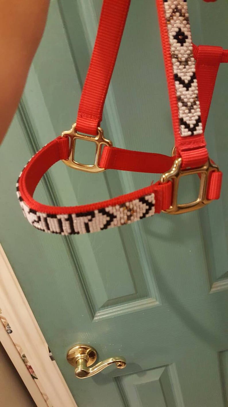 Custom Beaded Horse Halter Etsy