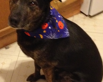 Halloween Dog Bandanas