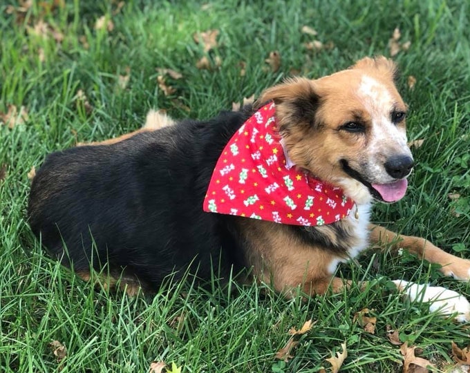 Christmas Dog Bandannas