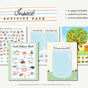 Insect Activity Pack • All About Bugs • Nature Activities for Kids • Bug Printable Activity • Insect Homeschool Learning • Digital Download