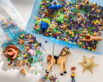 A FRIEND IN ME Sensory Kit - Toy Story Inspired Play - Montessori Inaginative Play