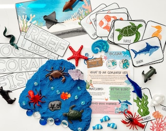 Ocean Little Explorer Kit – Montessori Sea Animals & Flashcards Sensory Learning