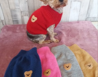 dog bear sweater