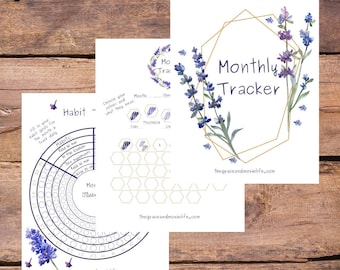 Monthly Habit Tracker Printable | Minimalist Daily Habit Tracker |Planner 2025 Bullet Journal Page | Goal Tracker PDF Planner | Mood Tracker