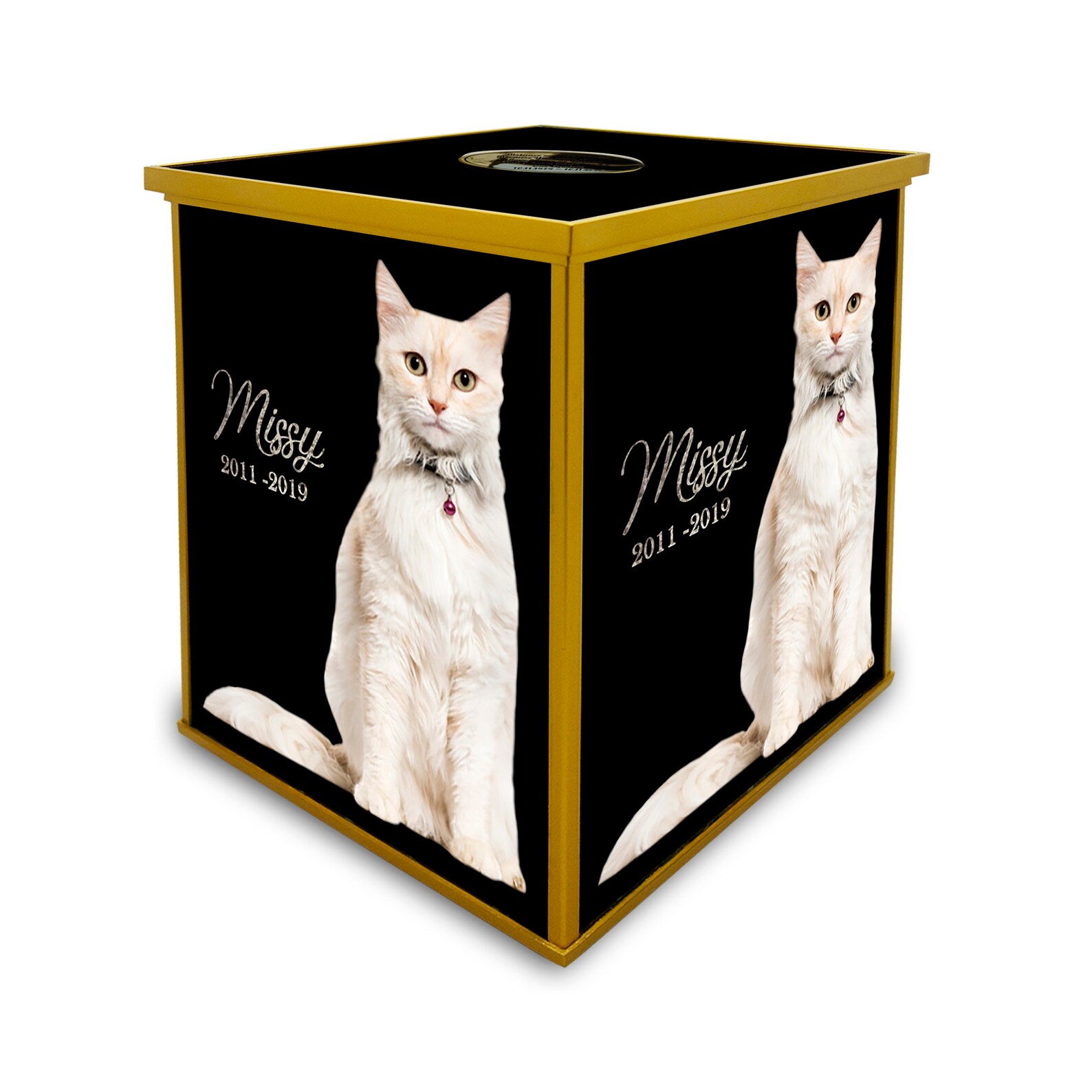 Custom Ashes Container Pet Cat Urn Decorative Ashes Etsy