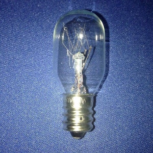 May include: A clear glass light bulb with a standard screw base. The bulb has a thin filament inside.