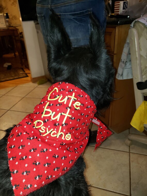 reactive dog bandana