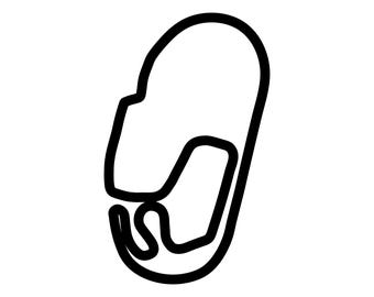 Charlotte Motor Speedway (Roval) Decal Sticker