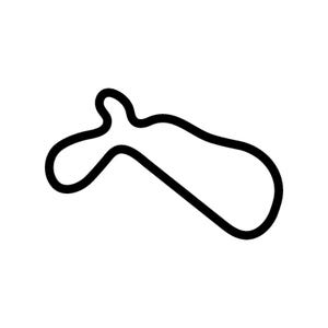Willow Springs International Raceway Decal Sticker